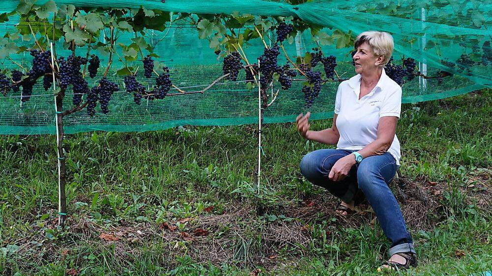 Ernestine Berger in ihrem Weingarten 