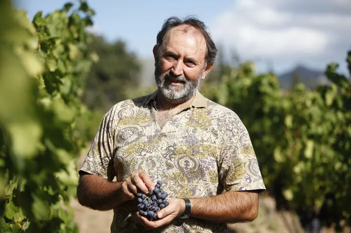 Vins Miquel Gelabert, Mallorquiner mit Prädikat. El Loco, „der Verrückte“, so nennen Einheimische Miquel Gelabert. Für seine Cuvées sammelt der Winzer internationale Preise und Trophäen wie andere Leute Briefmarken. Wohl kaum eine Bodega der Insel führt ein so komplettes Sortiment „ausgezeichneter“ Weine. In 19 verschiedenen Weingärten baut er über 50 verschiedene Rebensorten an. Neben Callet, Gargollassa und Muscat finden Weinkenner auch Exoten wie Jaumillo, Carménère und Xarel-lo.