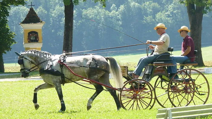 In der Zukunft sollen in der Steiermark Kutschen mit einem E-Hilfsmotor den Pferden das Ziehen erleichtern
