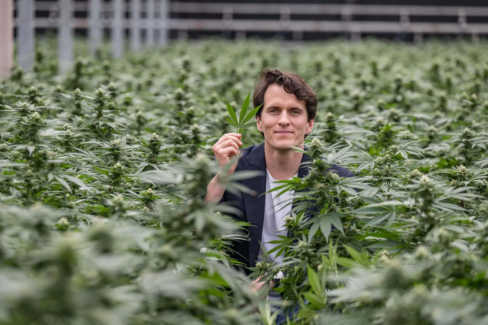 Christopher Martens ist einer der Geschäftsführer bei Hanfama, die ihren Sitz in Graz und Gratwein-Straßengel hat