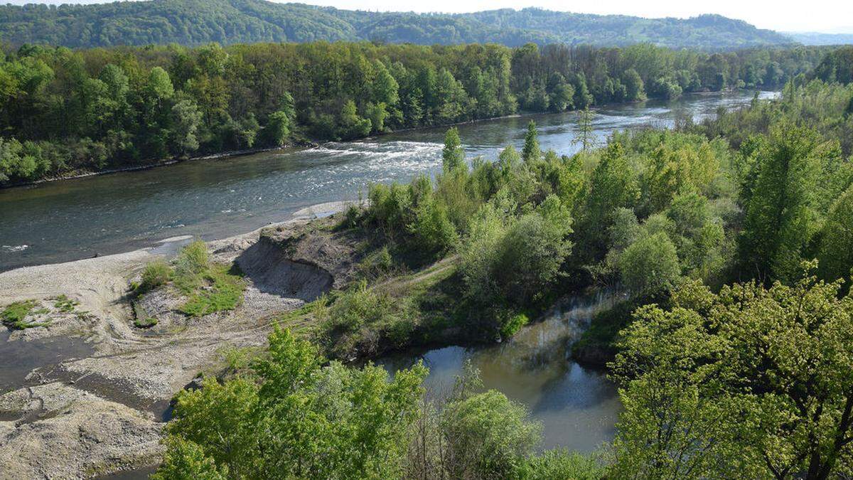 Die steirische Grenzmur gilt als hochwertiges Natura-2000-Gebiet