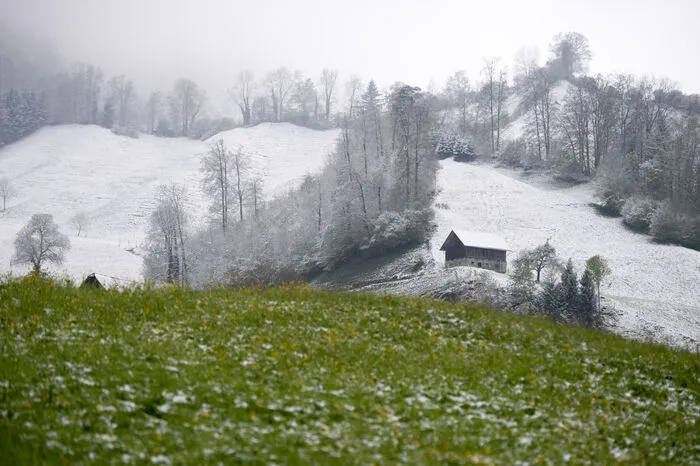 In Stans im Kanton Nidwalden in der Schweiz ist die Schneefallgrenze deutlich zu sehen.