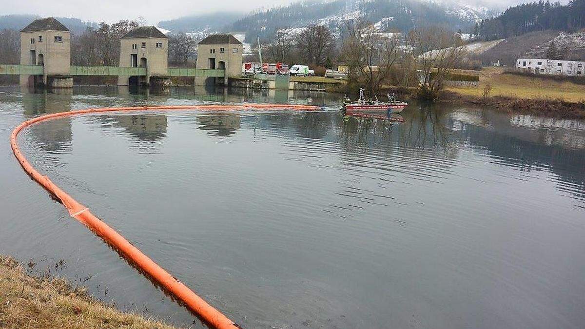 Die Feuerwehren zogen die Ölsperre auf der Mur kurz vor der Wehranlage zwischen Niklasdorf und Oberaich auf