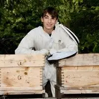 Ludwig Mosser sieht täglich nach seinen Bienen