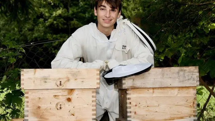 Ludwig Mosser sieht täglich nach seinen Bienen