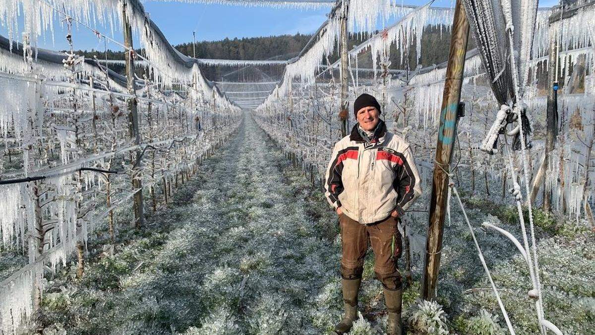 Karl Schloffer Mittwochmorgen in seiner Obstanlage in Oberfeistritz bei Anger