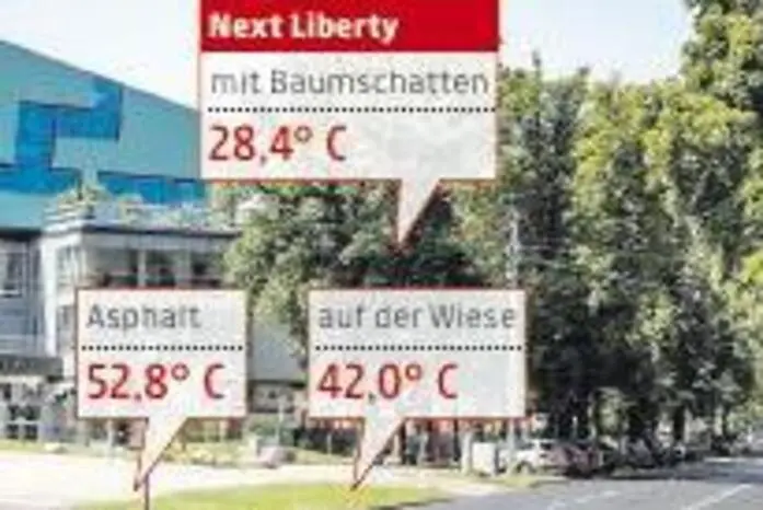 Die Frage war: Wie sehr gehen an einem Platz die Temperaturen auseinander, wenn...