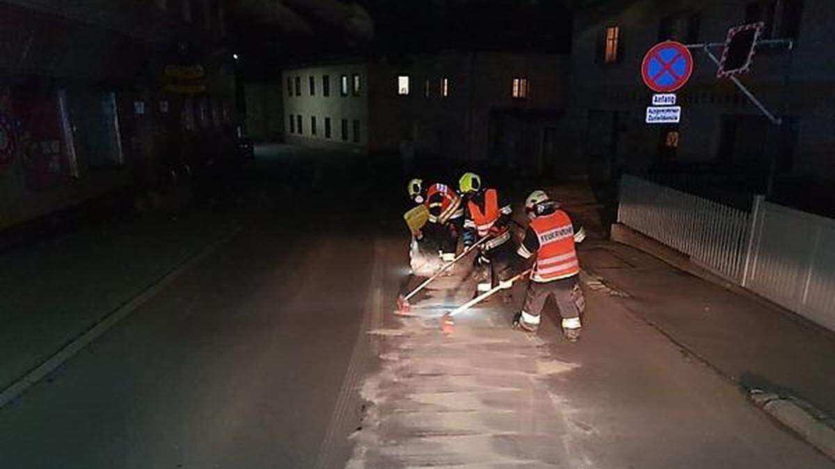 Die Feuerwehr stand stundenlang im Einsatz