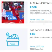 500 Euro für zwei „Steher“, ein anderer User hat billigere Stehplatzkarten anzubieten