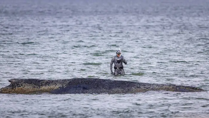 „Timmy“ in misslicher Lage vor Timmendorfer Strand am 26. März