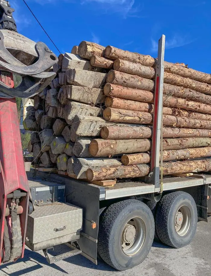 Der Lkw hatte Rundholz, Eisenbahn- und Betonschweller geladen