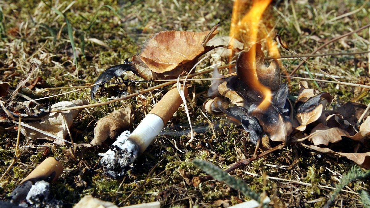 Jegliches Anzünden von Feuer in Wäldern ist aufgrund erhöhter Waldbrandgefahr verboten