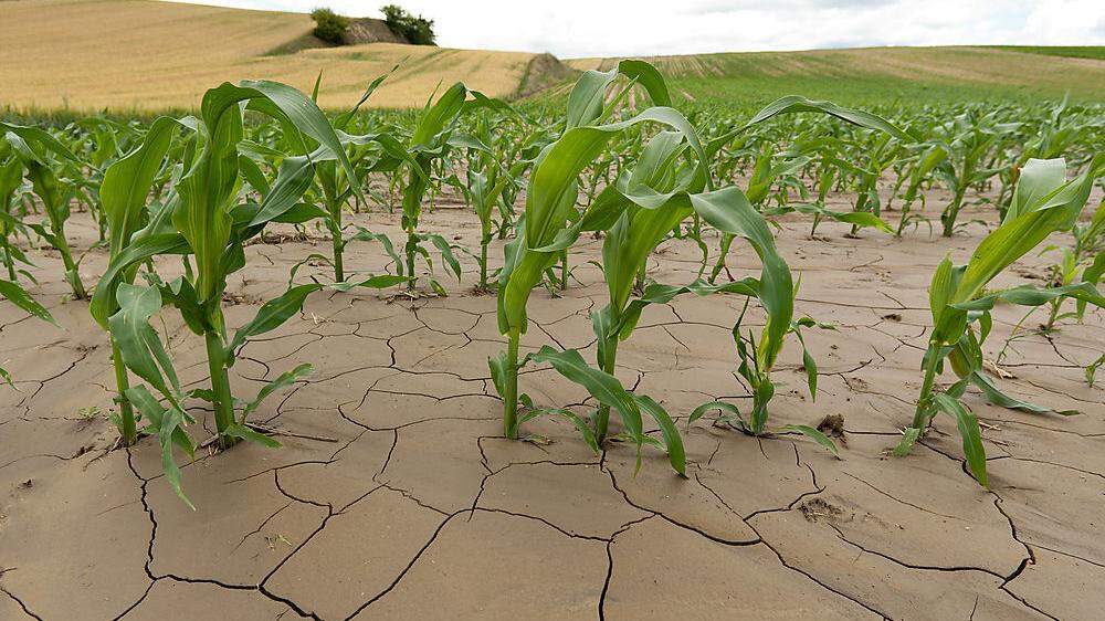 Im Gefolge des Klimawandels sind mehr Extremereignisse wie etwa Dürre