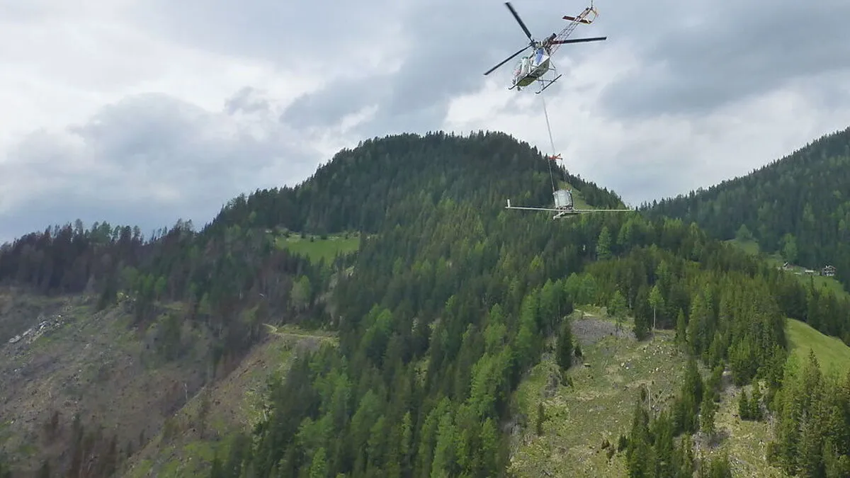 Begrünungsflüge nach dem Brand vor einem Jahr gab es, doch wegen Wildschäden "steht" jetzt die Aufforstung