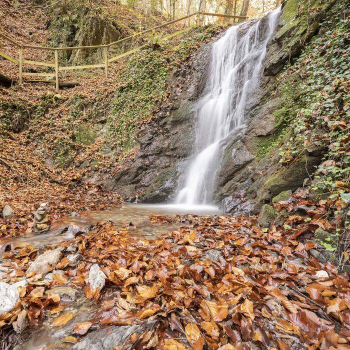 Floriani Wasserfall | Inmitten des herbstlichen Waldes findet man den Floriani Wasserfall - ein Naturschauspiel.