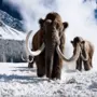 Ein per Sora KI-generiertes Mammut