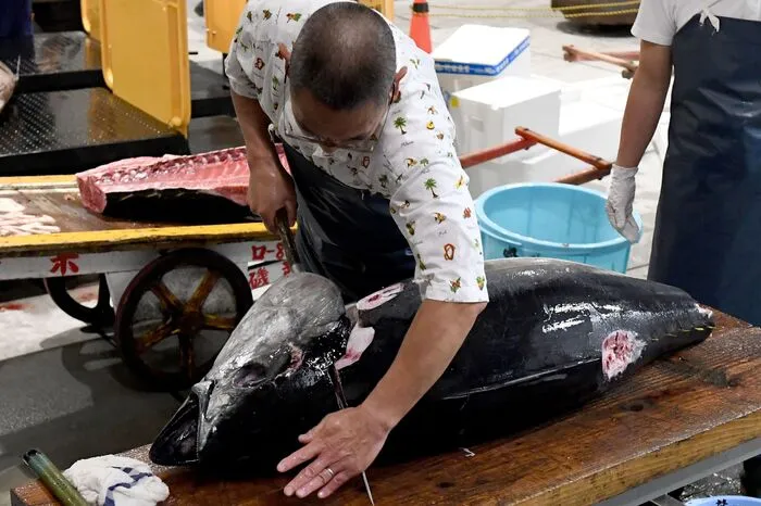Eigentlich sollte der Markt schon vor zwei Jahren umgezogen sein, doch musste der Untergrund des neuen Geländes in Toyosu wegen hochgradiger Verseuchung mit Umweltgiften wie Benzol und Arsen zunächst aufwendig saniert werden. Dort stand früher eine Gasfabrik. Im Juli hatte die Stadtverwaltung das Gelände für sicher erklärt. Dennoch bleibt das Gebiet auch weiter unter Beobachtung, nachdem im Grundwasser an einigen Stellen erneut Benzol festgestellt worden war.