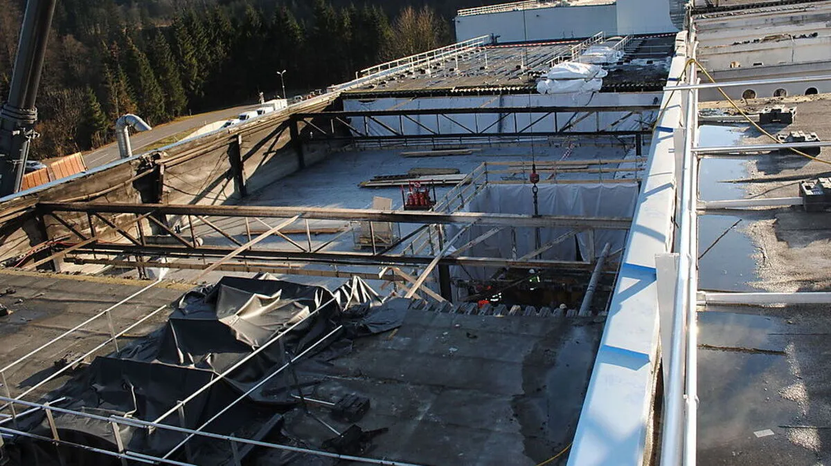 Vor eineinhalb Wochen wütete in diesem Bereich noch das Feuer 