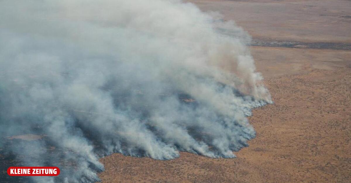 Etosha-Nationalpark in Flammen, hunderte Soldaten im Einsatz