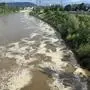 Blick auf das braune Wasser der Mur in Richtung Norden, an der Oberfläche schwimmen weiße Schaumflächen, im Hintergrund ist das Grazer Murkraftwerk zu sehen