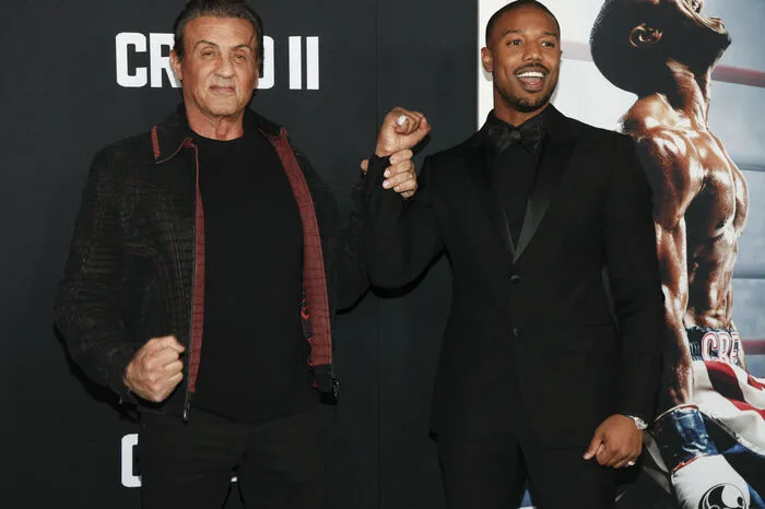 Die Rocky-Serie besteht aus acht Filmen, von denen der erste 1976 erschien und gleich zum Überraschungserfolg wurde.