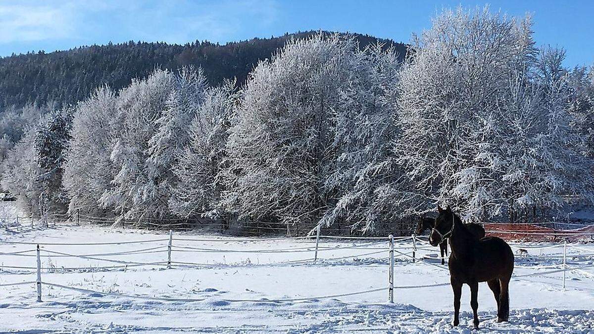 Traumhafte Winterlandschaft in Kärnten