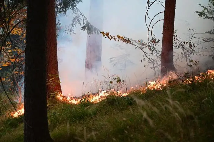 ... Es würden nunmehr Großtanklöschfahrzeuge mit Wasserwerfern in Stellung gebracht, kündigte der Sprecher am Mittwoch in der Früh an...
