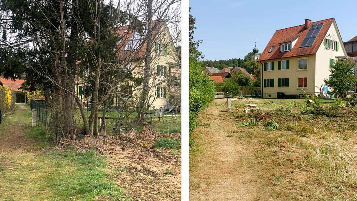 Am Rande des Schulgeländes waren bisher einige Bäume gestanden. Für die umstrittene Bus-Zufahrt mussten diese jetzt weichen