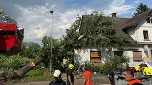 Ein Baum stürzte auf ein leerstehendes Gasthaus