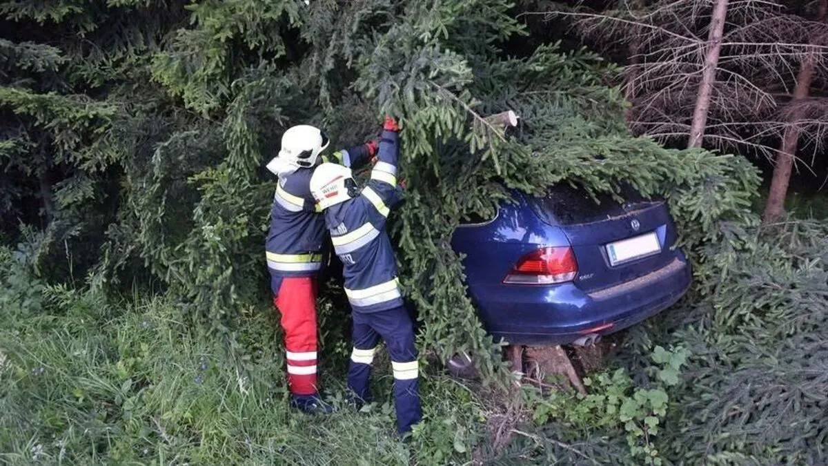 Der Wagen war von der Straße aus fast nicht zu sehen