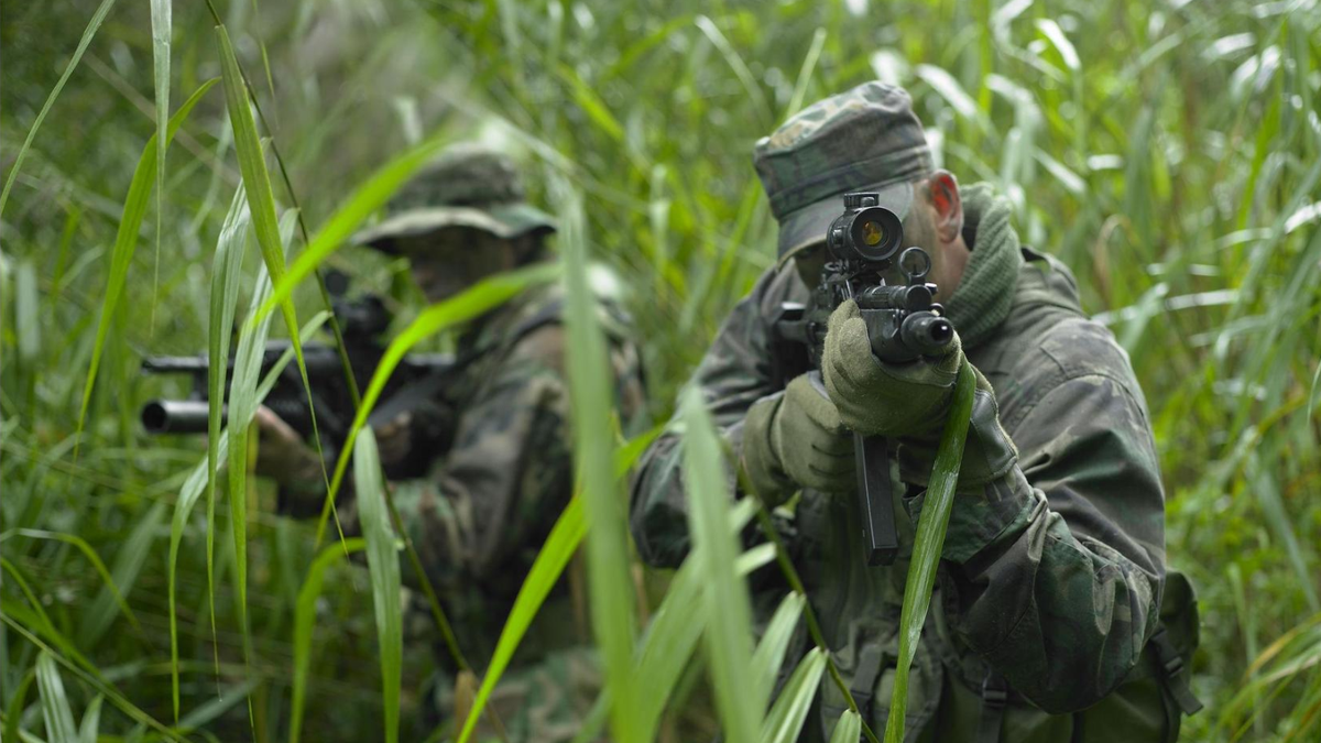 Die Übung österreichischer und deutscher Soldaten in Kärnten sorgt für Diskussionen