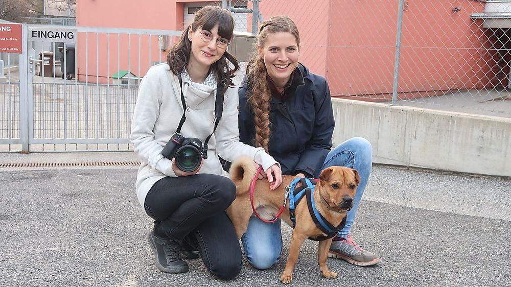 Tierfotografin Sabine Fallend (links) und Hundetrainerin Renate Ploder mit dem Mischling Felix