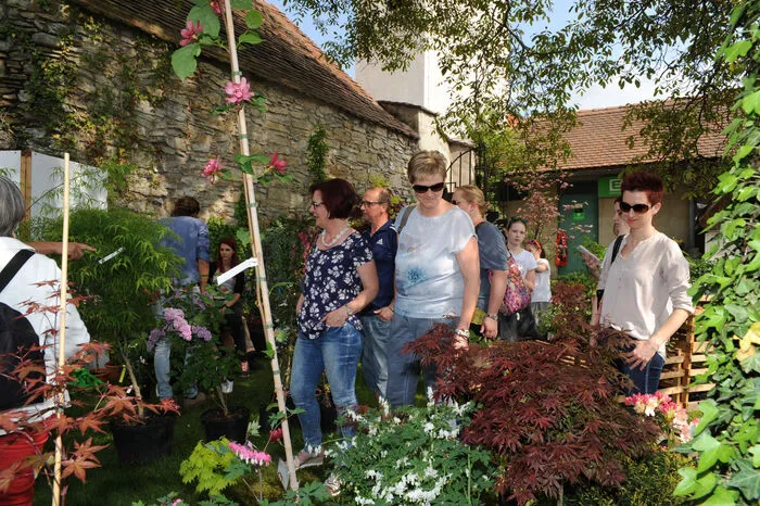 Die Frohnleitner Gartenausstellung lockte bei schönem Wetter zahlreiche Gartenliebhaber an.