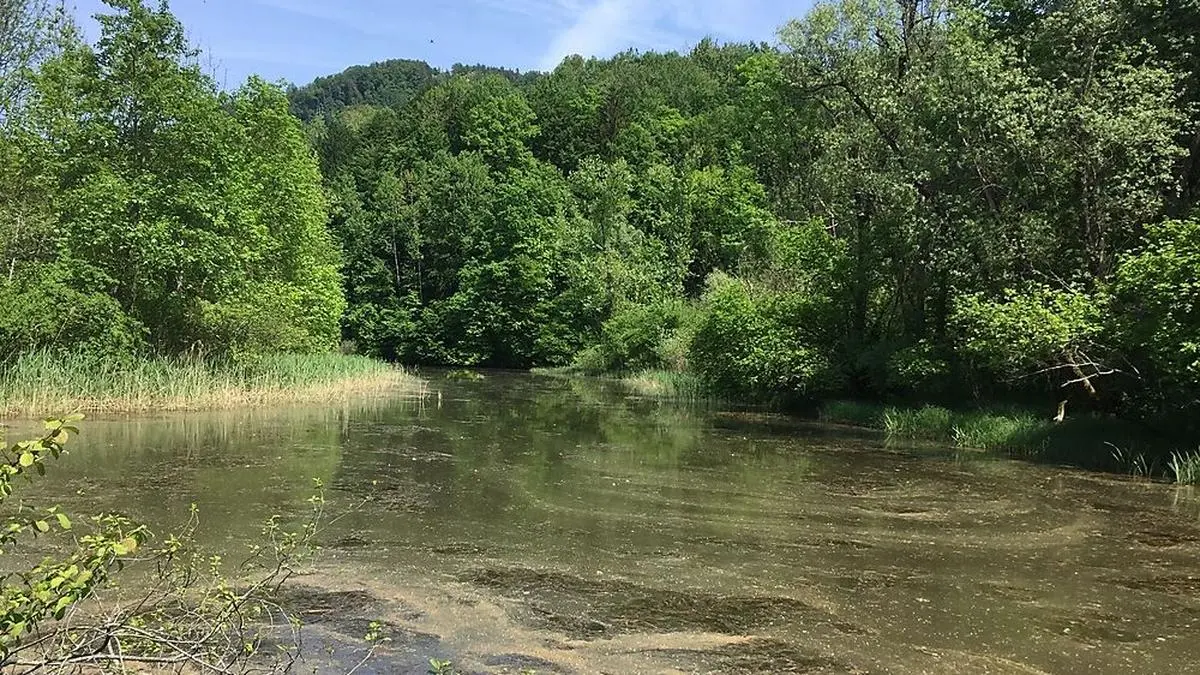 In das Naturschutzgebiet am Gurkspitz soll investiert werden