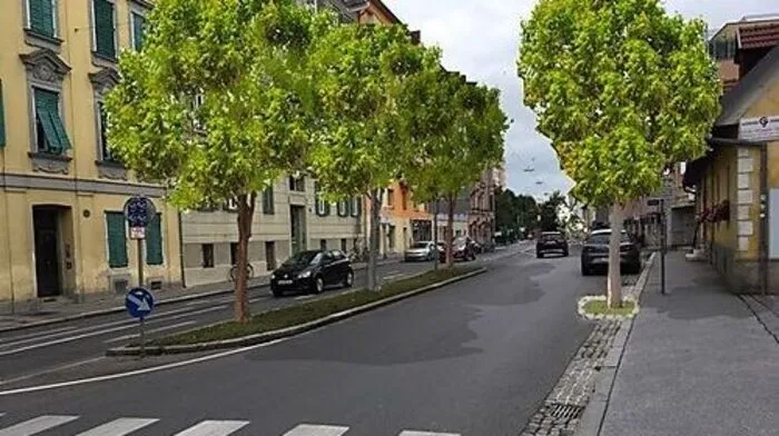 Bäume in der Plüddemanngasse? Die Fotomontage des Grazer Künstlers Paul Mangold zeigt, wie es aussehen könnte.