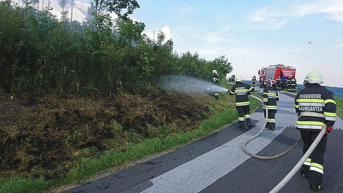 Am Schaueregg brannte am Donnerstag eine Böschung