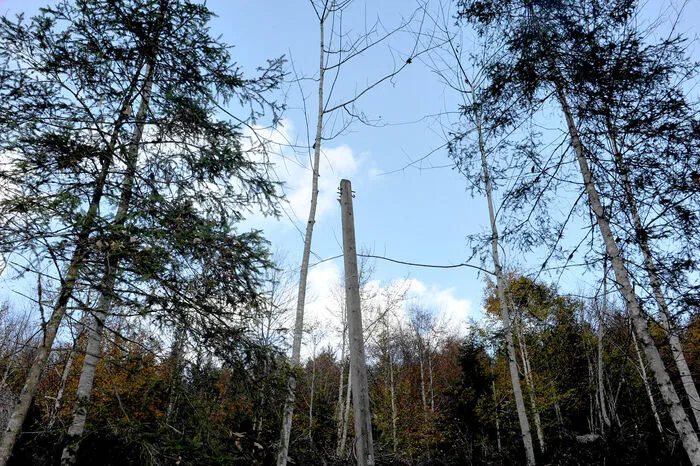 Kein Telefonkabel am Masten