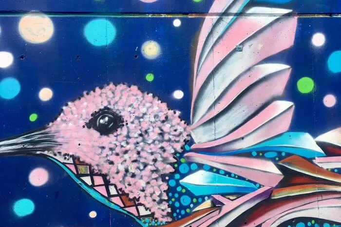 Street Art mit politischen Botschaften, Hip-Hop und Sozialprojekte beherrschen nun Viertel, in denen früher Drogenbarone, Guerillas, später das Para-Militär herrschten.