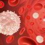 Bestimmte weiße Blutkörperchen sind für die Infektabwehr notwendig