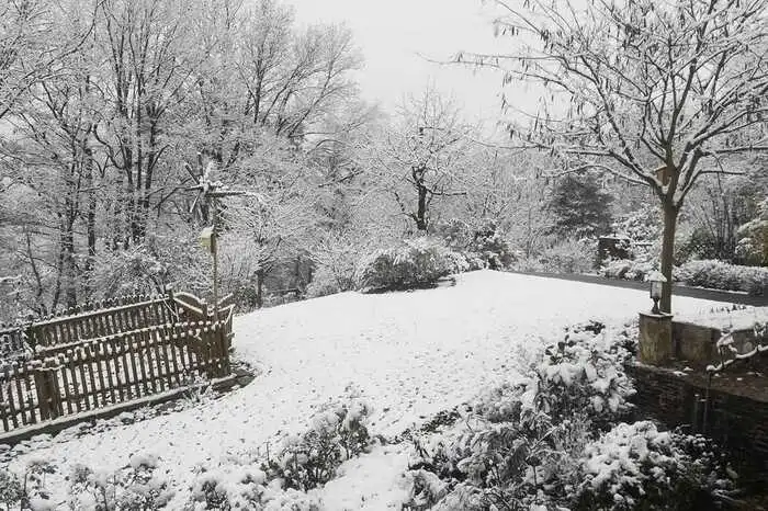 Angezuckerter Garten in Gossendorf