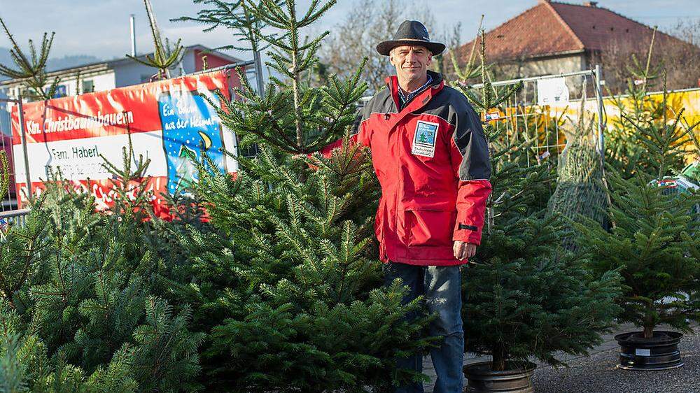 Für Christbaumverkäufer und Landwirt Michael Haberl bedeutet Weihnachten Hochsaison