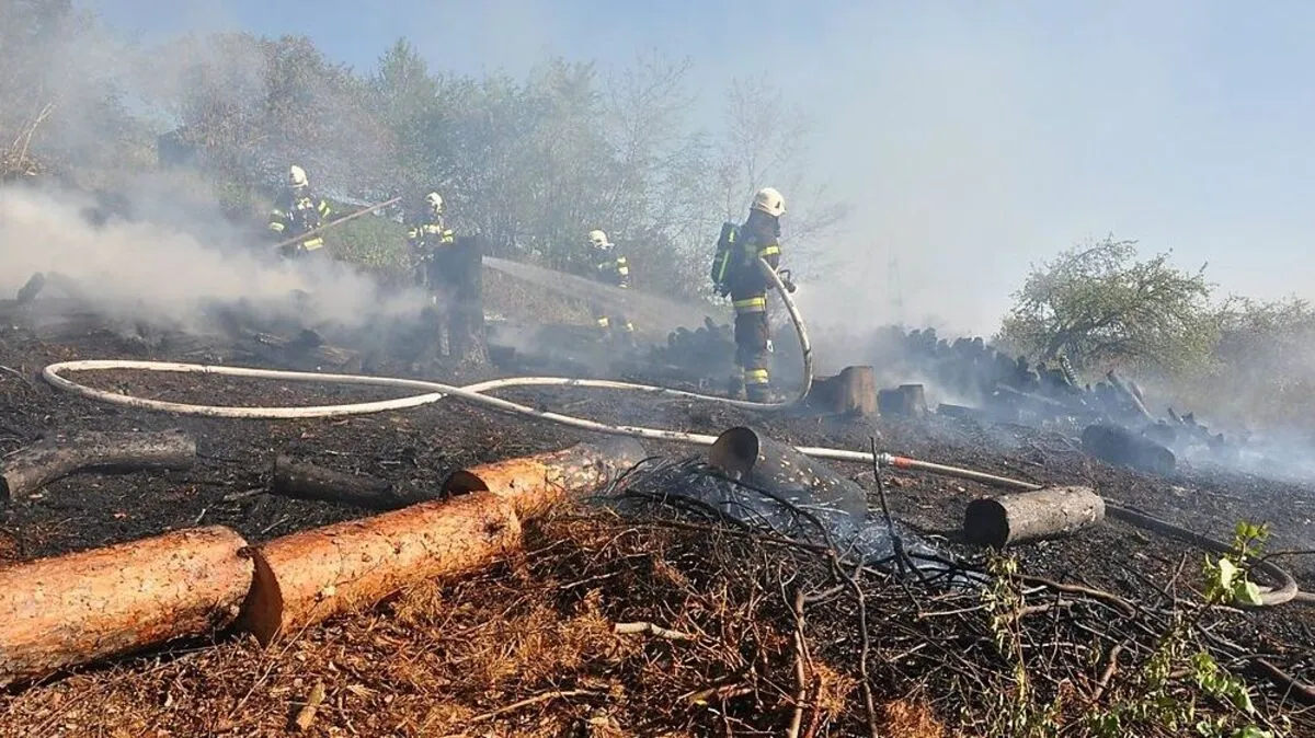Sechs Feuerwehren löschten den Brand