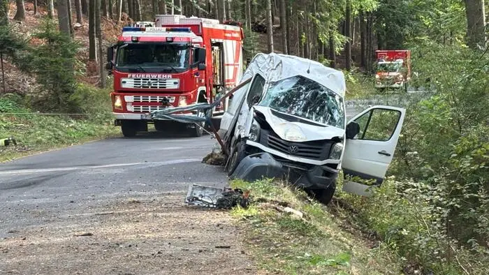 Der Lenker dieses Kleintransporters kam aus unbekannten Gründen von der Fahrbahn ab