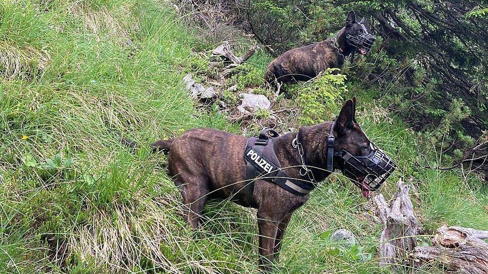 Zwei Diensthunde der Polizei waren bei der Suche eingesetzt, einer von ihnen spürte den Vermissten auf