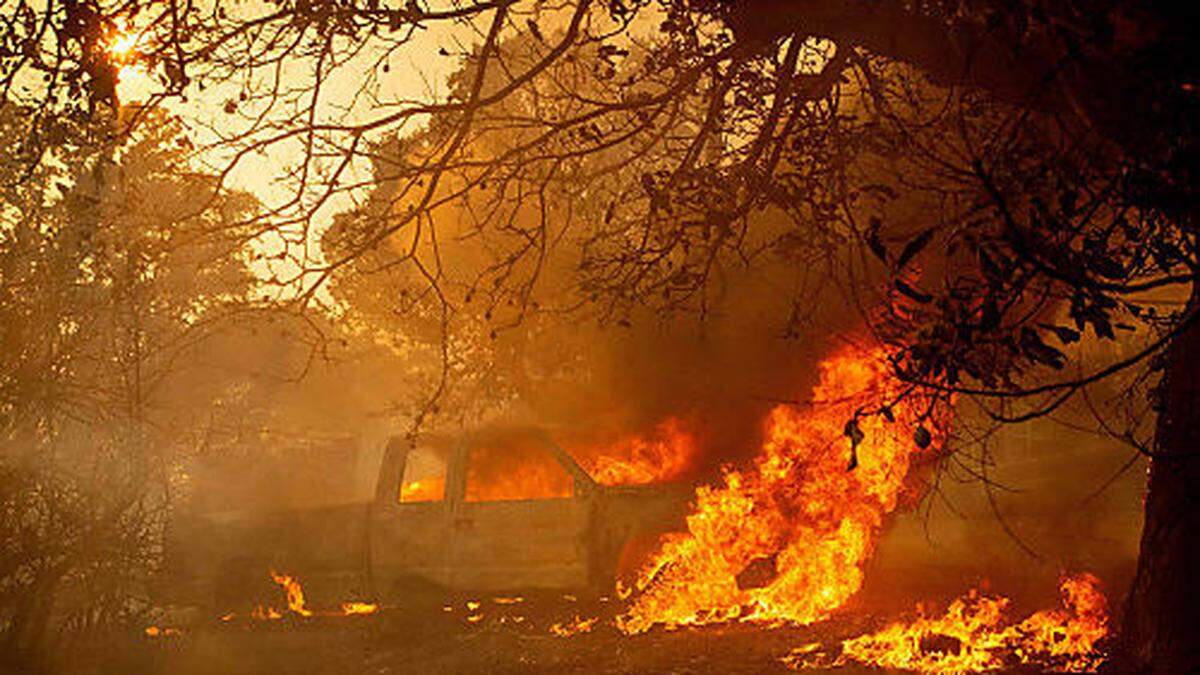 Wegen der Hitze kam es weltweit zu Waldbränden, so auch hier in Kalifornien