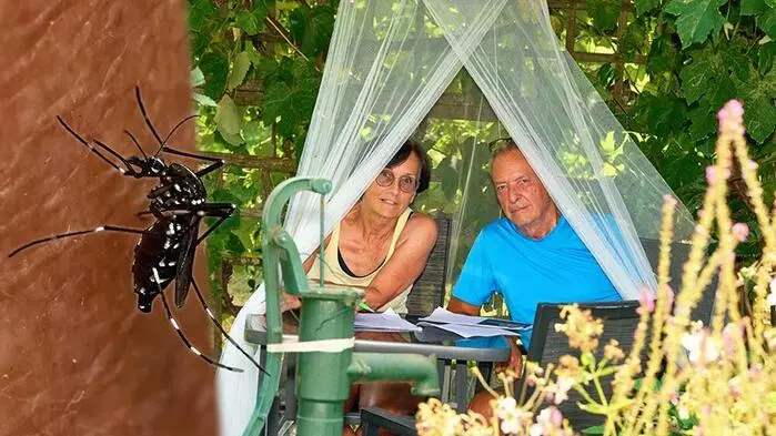 Hunderte Asiatische Tigermücken hat die leidgeplagte Familie aus Klagenfurt auf ihrem Grundstück bereits erschlagen. Fotograf Peter Rass hielt Dienstagabend den Stich der Mücke fest