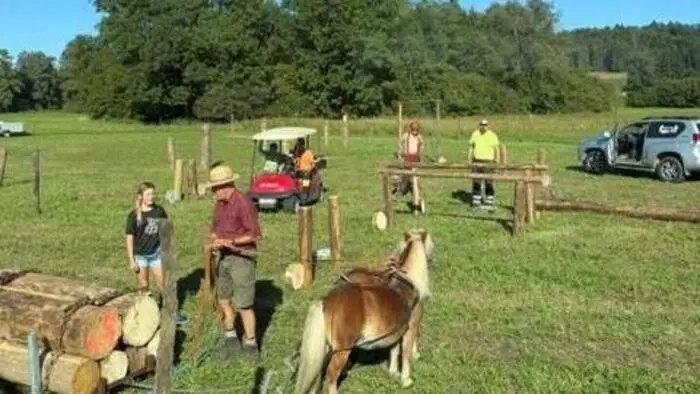 Pferde auf einer Wiese mit Menschen