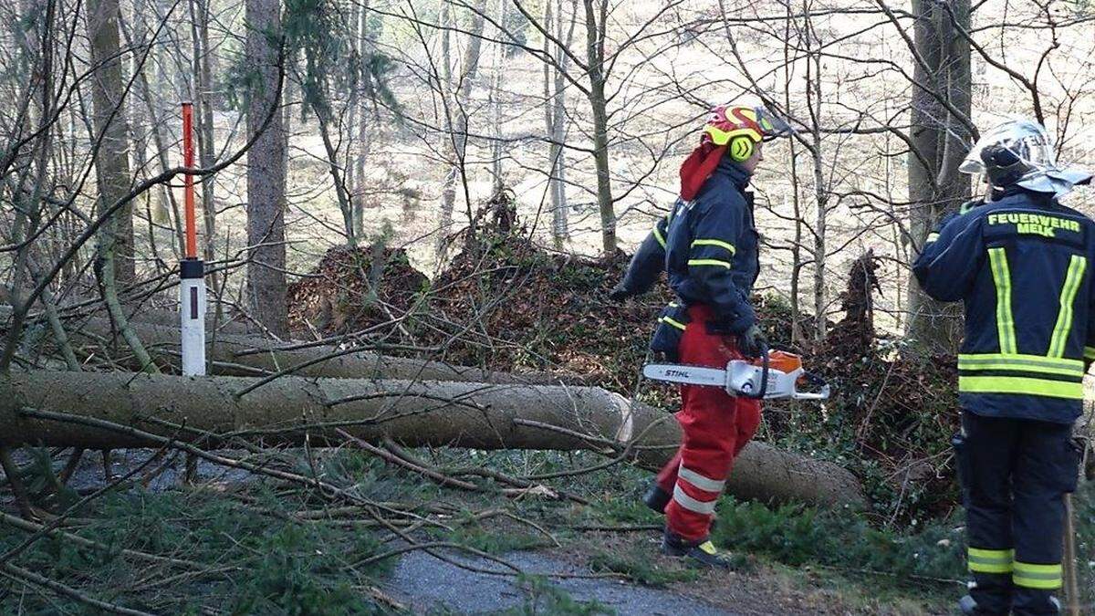 Aufräumarbeiten in Melk 