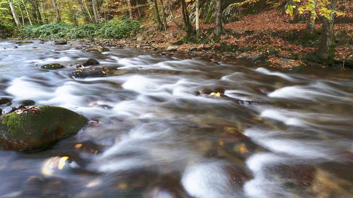 Die Schwarze Sulm gehört zu den bestehenden steirischen Natura-2000-Gebieten