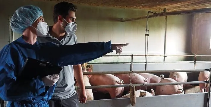 Lichtverhältnisse, Stallklima, Buchtengröße und Auftrittsbreite werden genau gemessen